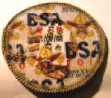BSA2010-Logo.jpg (100205 bytes)