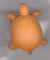 NealSlide-Turtle.jpg (3814 bytes)