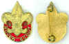 RoverScout-pin.jpg (47310 bytes)