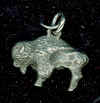 SilverBuffaloCharm.jpg (40721 bytes)