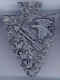 Slide-OA-Arrowhead-Eagle.jpg (61638 bytes)