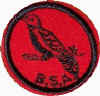 pm-wood-pigeon-BlackBack.jpg (14105 bytes)